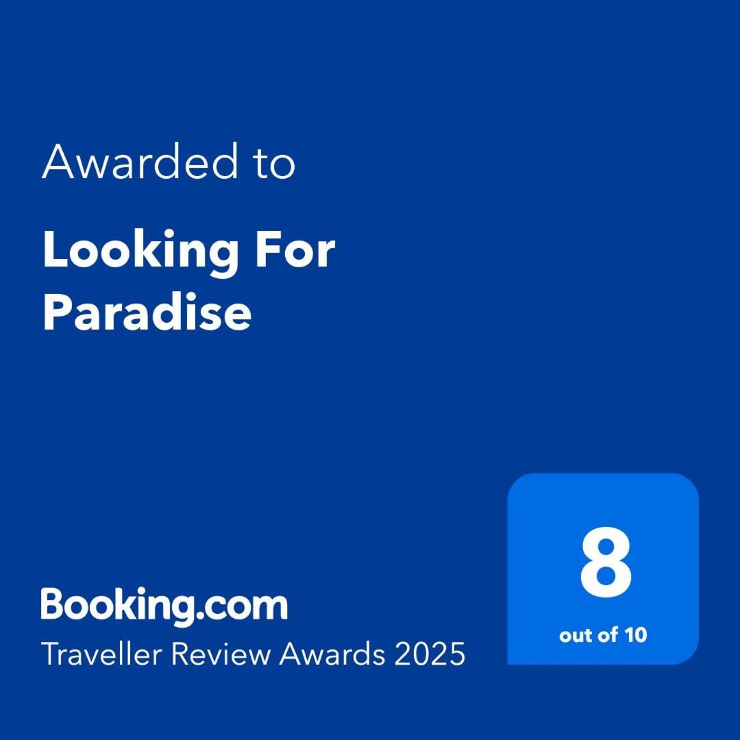 Looking For Paradise 格兰阿利坎特 外观 照片